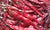 Organic Red chilli (Dry)-Spicy
