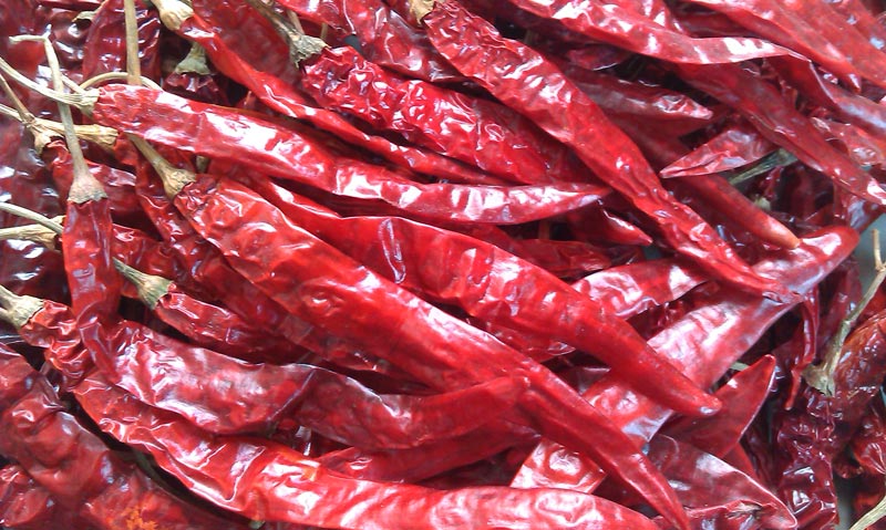 Organic Red chilli (Dry) – GreenDNA® India