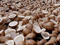 Organic Dry coconut