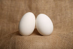 Organic Duck Eggs Free Range (Pack of 4)*