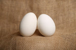 Organic Jumbo Country Eggs Free Range (Pack of 6)*