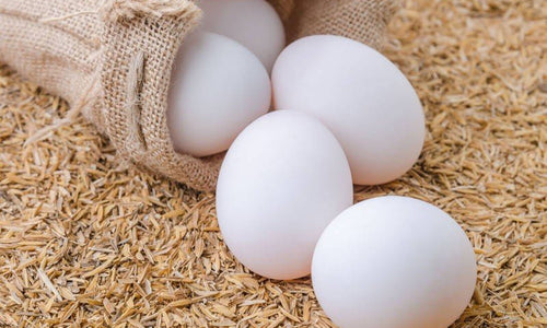 Organic Duck Eggs Free Range( 6 Pcs)*