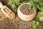 Organic Coriander Seeds