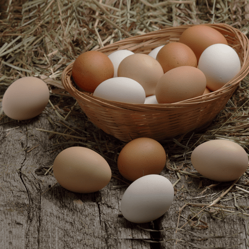 Organic Jumbo Country Eggs Free Range (Pack of 6)*
