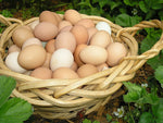 Organic Country Eggs Free Range (pack of 6)*