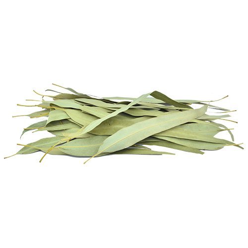 Organic Eucalyptus Leaves(Dried)