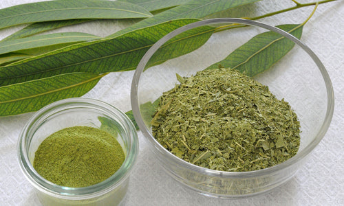 Organic Eucalyptus Dried Leaves Powder