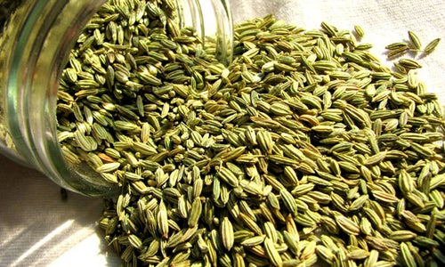 Organic Fennel Seeds