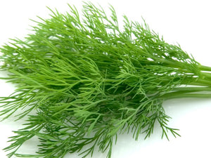 Organic Fennel Leaves