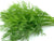 Organic Fennel Leaves