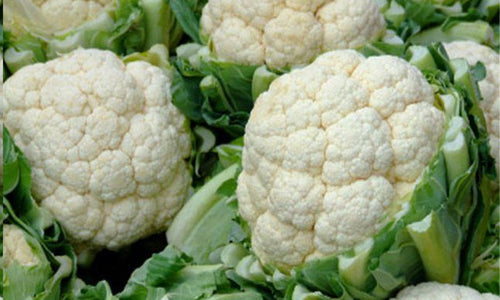 Organic Cauliflower-Offer