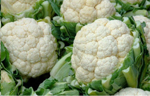 Organic Cauliflower