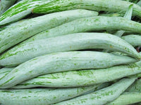 Organic Snake Gourd Diced