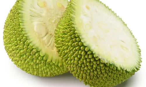 Organic Tender Jackfruit Slices