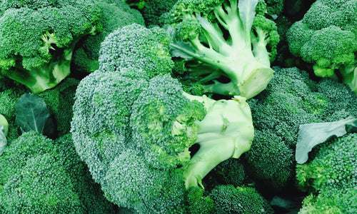 Organic Broccoli