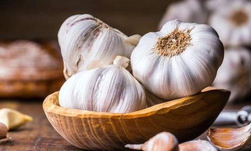 Organic Garlic