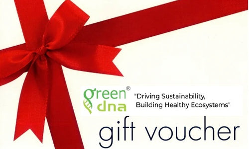 Gift Voucher