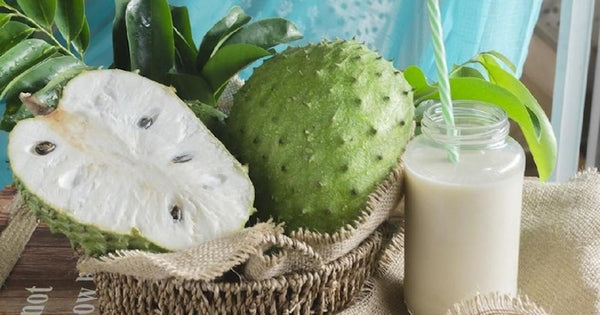 Organic Graviola-Lakshman Phal(Soursop)