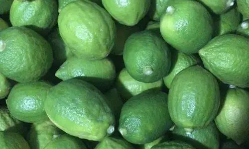 Organic Gandharaj Lemon (Kagzi Nibu)