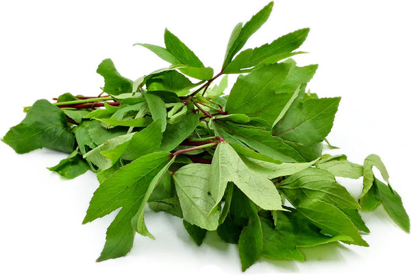 Organic Gongura Leaves