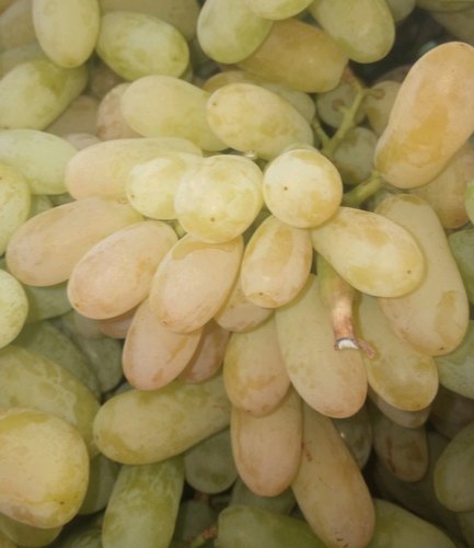 Organic Green Grapes