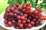 Organic Red Flame Grapes