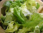 Organic Sliced Greek Letuce