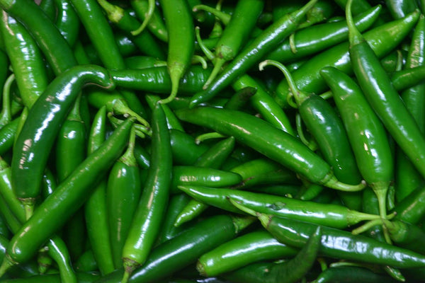 Organic Green Chilli