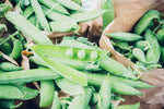 Organic Green Peas Natti
