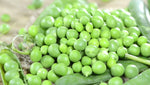 Organic Green Peas Natti
