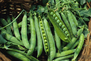 Organic Green peas