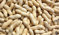 Organic Raw Peanuts with shell