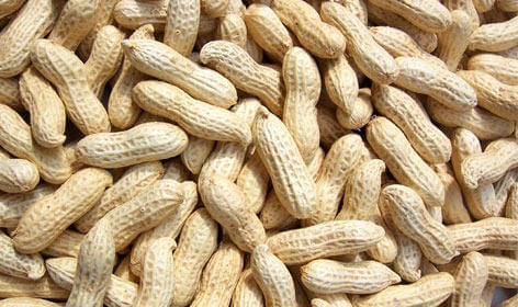 Organic Raw Peanuts with shell