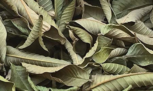 Organic Dried Guava leaves