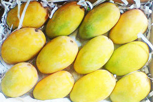 Organic Kesar Mango