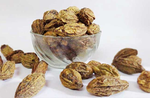 Natural Badi Harad / Haritaki/Terminalia Chebula Raw Herbs