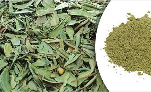 Organic Henna/Mehndi Leafs Powder