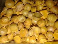 Organic Himalayan Mountain Garlic