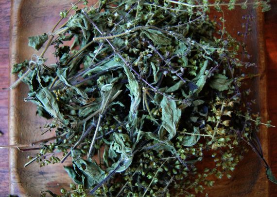 Organic Holly Basil Dry