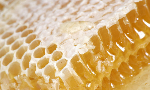 Organic Raw Honey Unprocessed In Beehive*