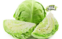 Organic Cabbage