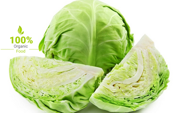 Organic Cabbage