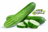 Organic Cucumber