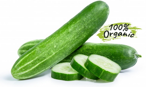 Organic Cucumber-Offer