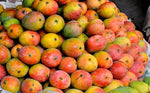 Organic Mango Sindhura-OFFER