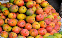 Organic Mango Sindhura-OFFER
