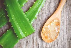 Organic Aloe vera