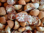 Organic Arecanut
