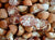 Organic Arecanut