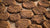 Indian Holy  Cow dung cakes
